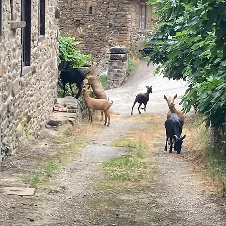 Picos De Europa Apartmán Cabezón de Liébana