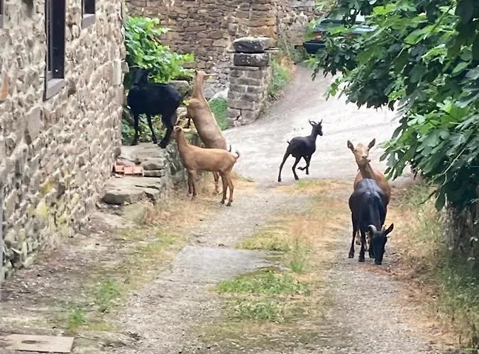 Picos De Europa Appartement Cabezón de Liébana